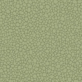 Cole & Son PEBBLE DARK OLIVE Wallpaper