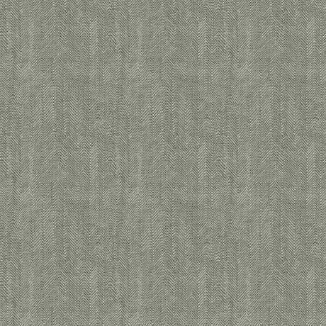 Brunschwig & Fils ALEXANDRE GRAY Upholstery Fabric