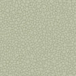 Cole & Son PEBBLE SAGE Wallpaper