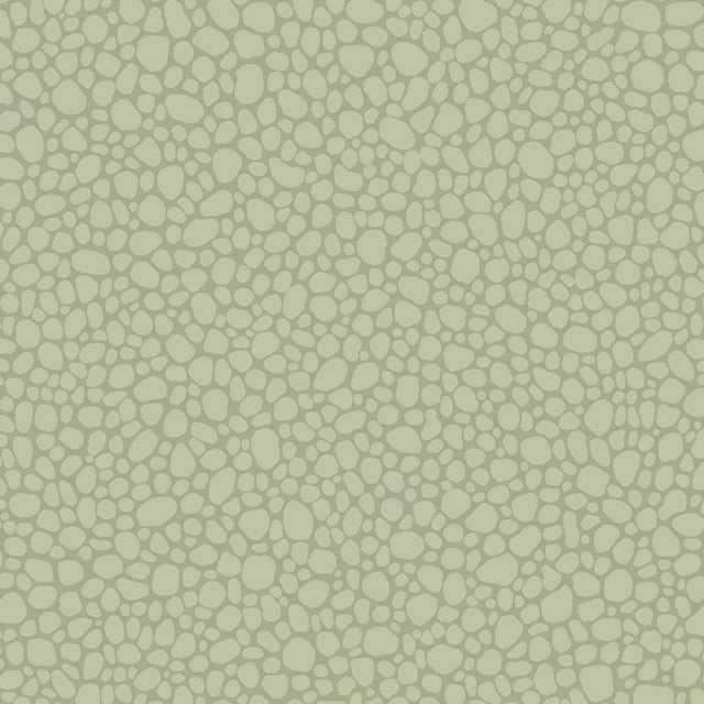Cole & Son PEBBLE SAGE Wallpaper
