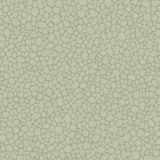 Cole & Son PEBBLE SAGE Wallpaper
