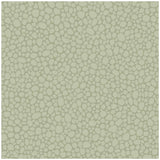 Cole & Son Pebble Sage Wallpaper