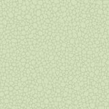 Cole & Son PEBBLE DUCK EGG Wallpaper