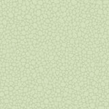 Cole & Son PEBBLE DUCK EGG Wallpaper