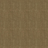 Brunschwig & Fils ALEXANDRE DRIFTWOOD Upholstery Fabric