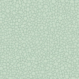 Cole & Son PEBBLE PRINT ROOM BLUE Wallpaper