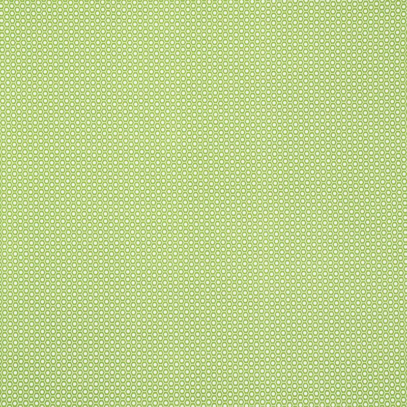 Schumacher Queen B Ii Indoor/Outdoor Green Fabric
