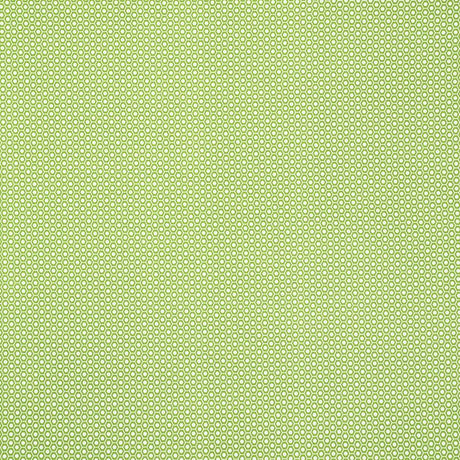 Schumacher Queen B Ii Indoor/Outdoor Green Fabric