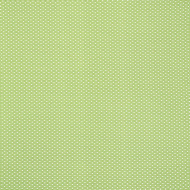Schumacher Queen B Ii Indoor/Outdoor Green Fabric