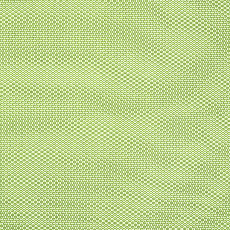 Schumacher Queen B Ii Indoor/Outdoor Green Fabric