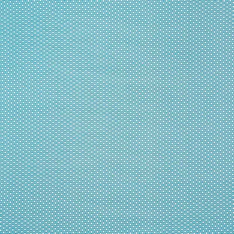 Schumacher Queen B Ii Indoor/Outdoor Aqua Fabric