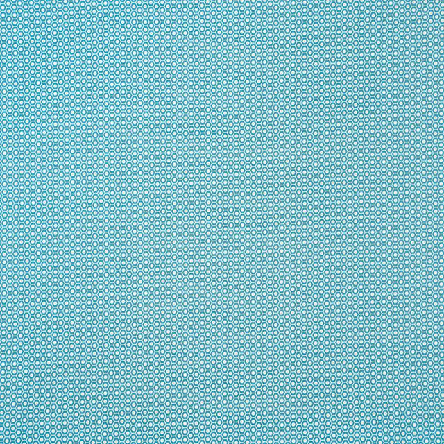 Schumacher Queen B Ii Indoor/Outdoor Aqua Fabric