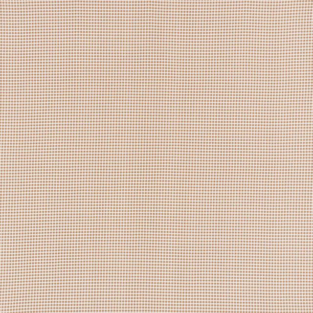 Schumacher Stella Ii Indoor/Outdoor Sand Fabric