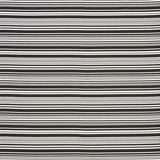 Schumacher Stripedot Ii Indoor/Outdoor Black Fabric
