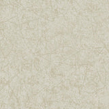 Cole & Son CORDOVAN STONE Wallpaper