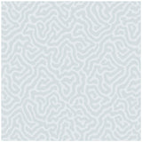 Cole & Son Coral Powder Blue Wallpaper