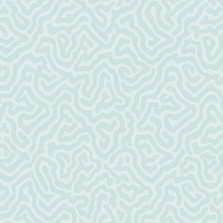 Cole & Son CORAL PRINT ROOM BLUE Wallpaper