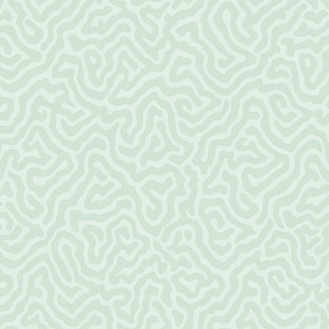 Cole & Son CORAL DUCK EGG Wallpaper