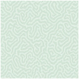 Cole & Son Coral Duck Egg Wallpaper