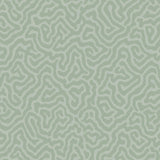 Cole & Son CORAL SAGE Wallpaper