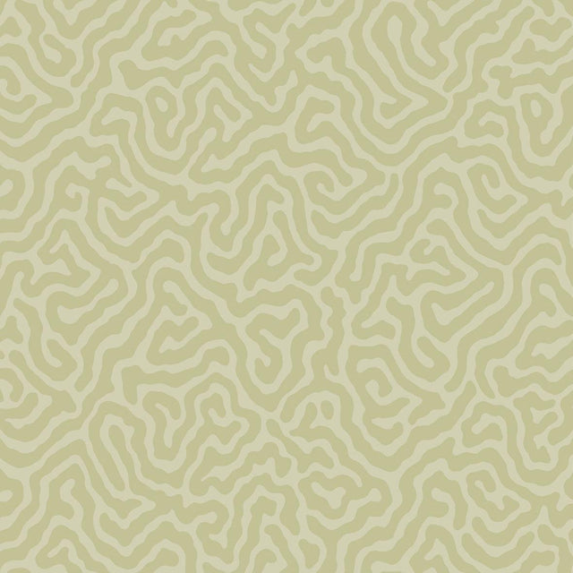 Cole & Son CORAL OLD OLIVE Wallpaper