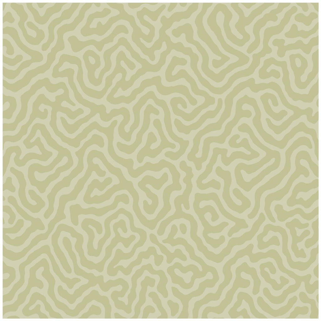 Cole & Son CORAL OLD OLIVE Wallpaper
