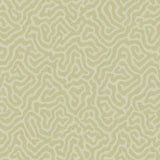 Cole & Son CORAL OLD OLIVE Wallpaper