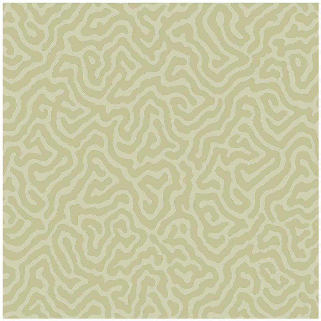 Cole & Son Coral Old Olive Wallpaper