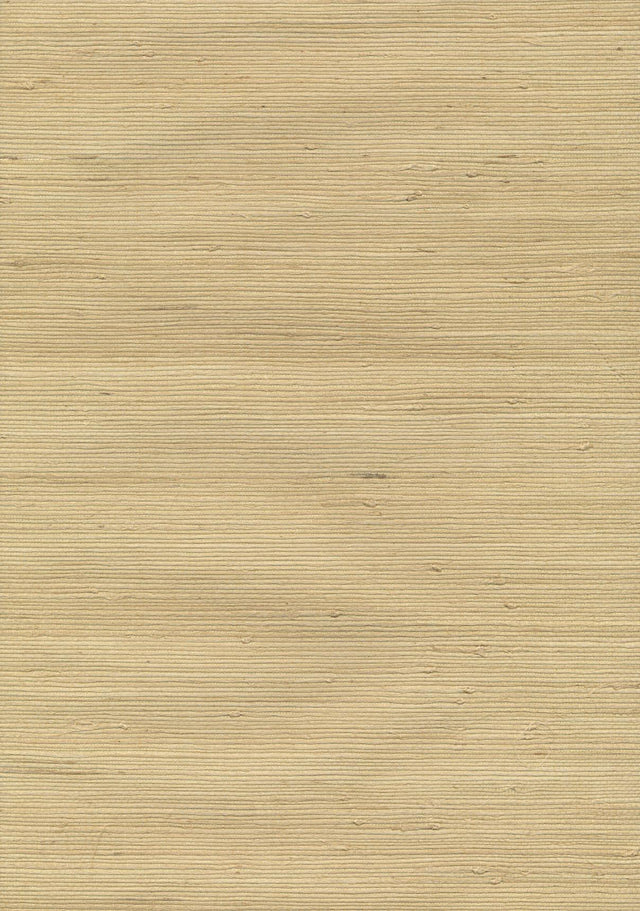 Kravet DESIGN W3201 404 Wallpaper