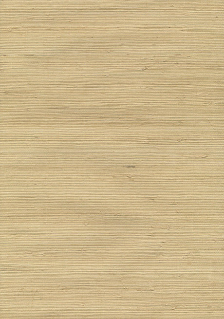 Kravet DESIGN W3201 404 Wallpaper