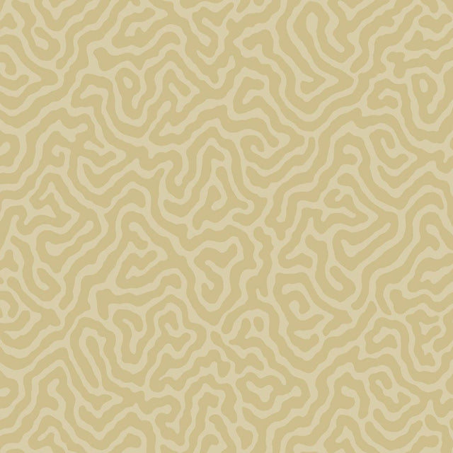 Cole & Son CORAL BUFF Wallpaper