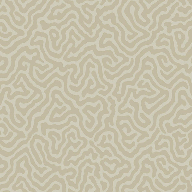 Cole & Son CORAL PALE STONE Wallpaper
