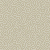 Cole & Son CORAL PALE STONE Wallpaper
