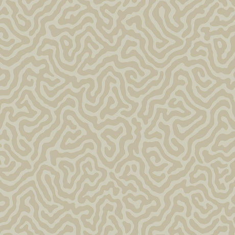 Cole & Son CORAL PALE STONE Wallpaper