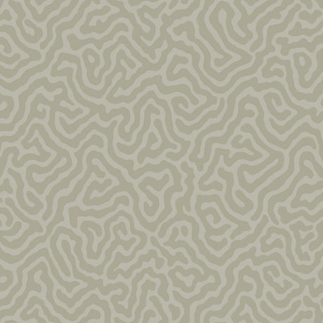 Cole & Son CORAL STONE Wallpaper