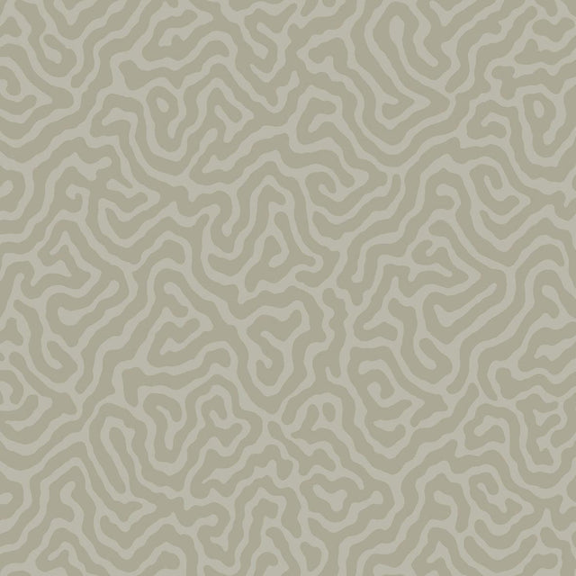 Cole & Son CORAL STONE Wallpaper