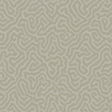 Cole & Son CORAL STONE Wallpaper