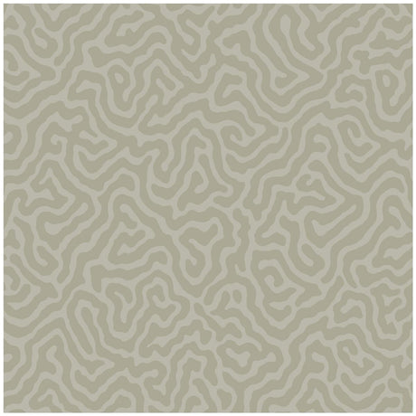 Cole & Son Coral Stone Wallpaper