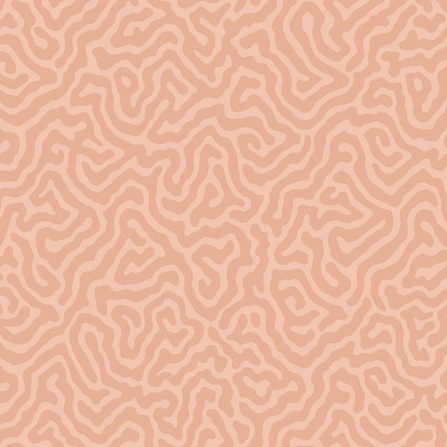 Cole & Son CORAL SALMON Wallpaper
