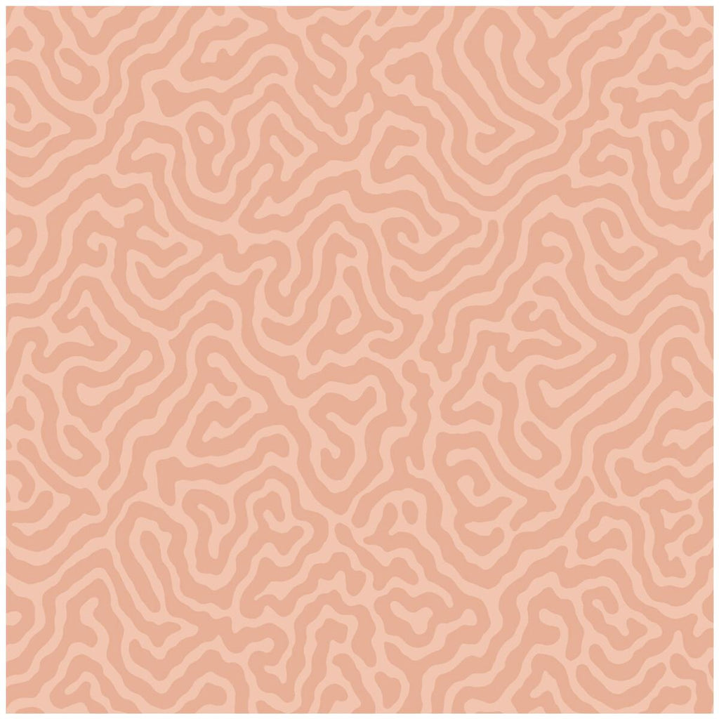 Cole & Son Coral Salmon Wallpaper