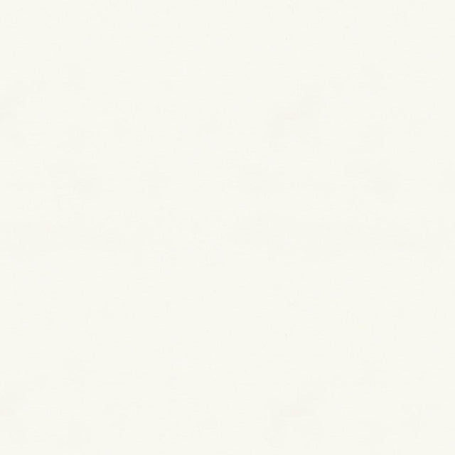 Brunschwig & Fils LAUDINE WHITE Drapery Fabric