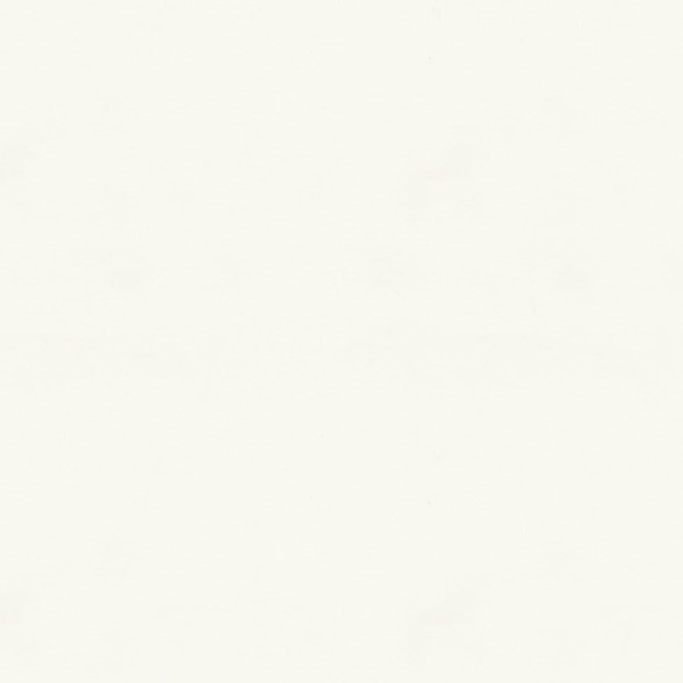 Brunschwig & Fils LAUDINE WHITE Drapery Fabric