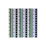 Brunschwig & Fils RAYURE MOIRE VERT Fabric