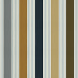 Brunschwig & Fils EVARISTE STRIPE GREY/NL Fabric