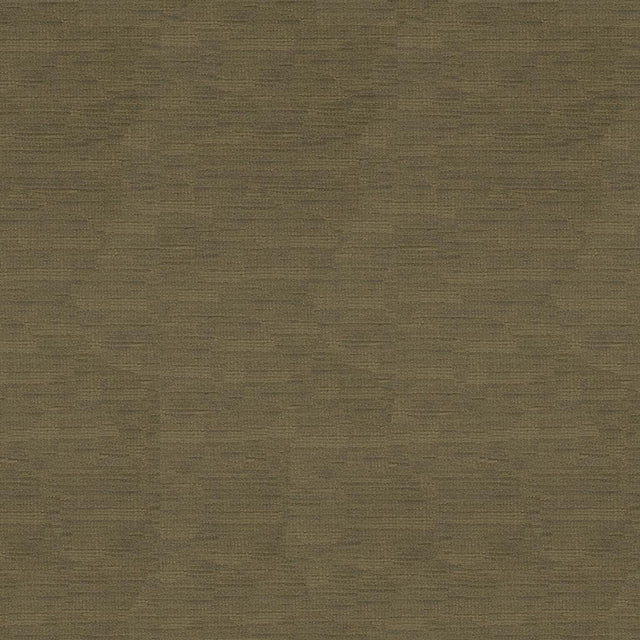 Brunschwig & Fils LAZARE VELVET DRIFTWOOD Upholstery Fabric