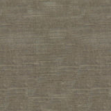 Brunschwig & Fils LAZARE VELVET DOVE Upholstery Fabric