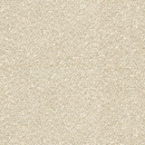 Brunschwig & Fils VANOISE CHENILLE PEARL Upholstery Fabric