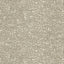 Brunschwig & Fils VANOISE CHENILLE GREY Upholstery Fabric