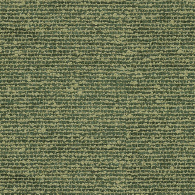 Brunschwig & Fils VANOISE CHENILLE AVOCADO Upholstery Fabric