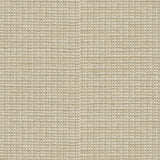 Brunschwig & Fils TEPEY CHENILLE OYSTER Upholstery Fabric